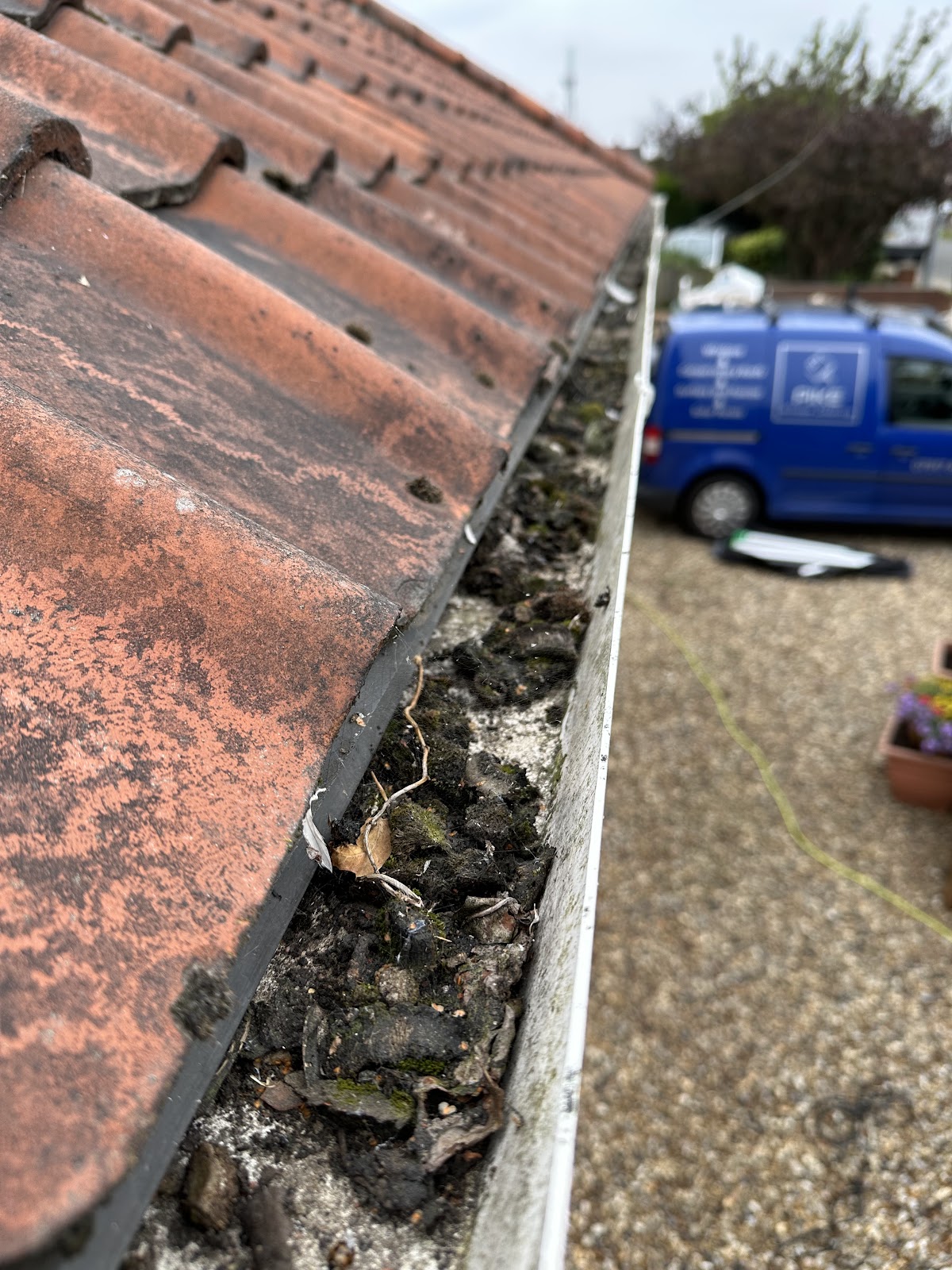 Gutter before cleaning